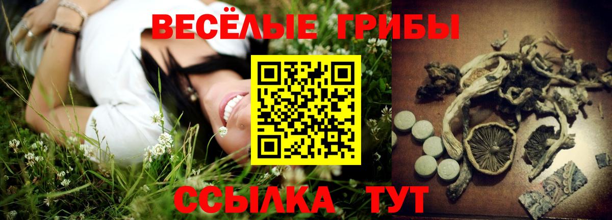 Псилоцибиновые грибы MAGIC MUSHROOMS  наркошоп  Галлюциногенные грибы ЛСД  Хабаровск  Вход с VPN 